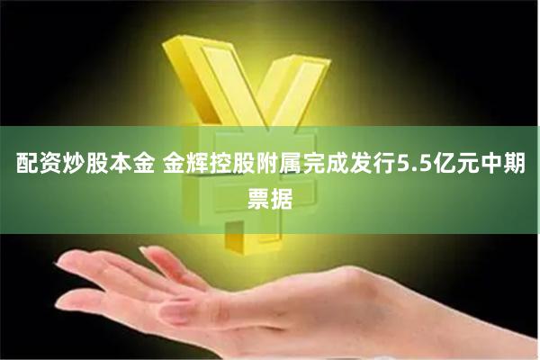 配资炒股本金 金辉控股附属完成发行5.5亿元中期票据