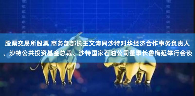 股票交易所股票 商务部部长王文涛同沙特对华经济合作事务负责人、沙特公共投资基金总裁、沙特国家石油公司董事长鲁梅延举行会谈